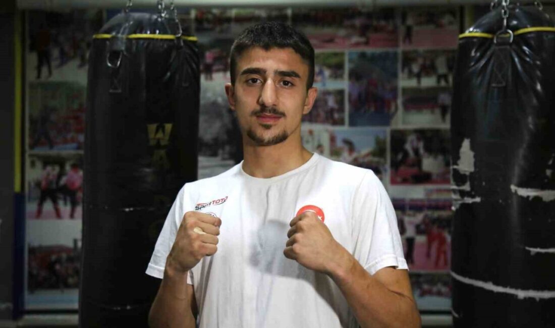 Wushu kungfu, kick boks, muay thai ve boks branşlarında uluslararası