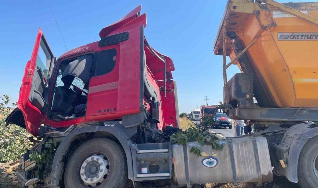 Tekirdağ’da direksiyon hakimiyetini kaybeden hafriyat kamyonunun yoldan çıkarak ağaca çarpması