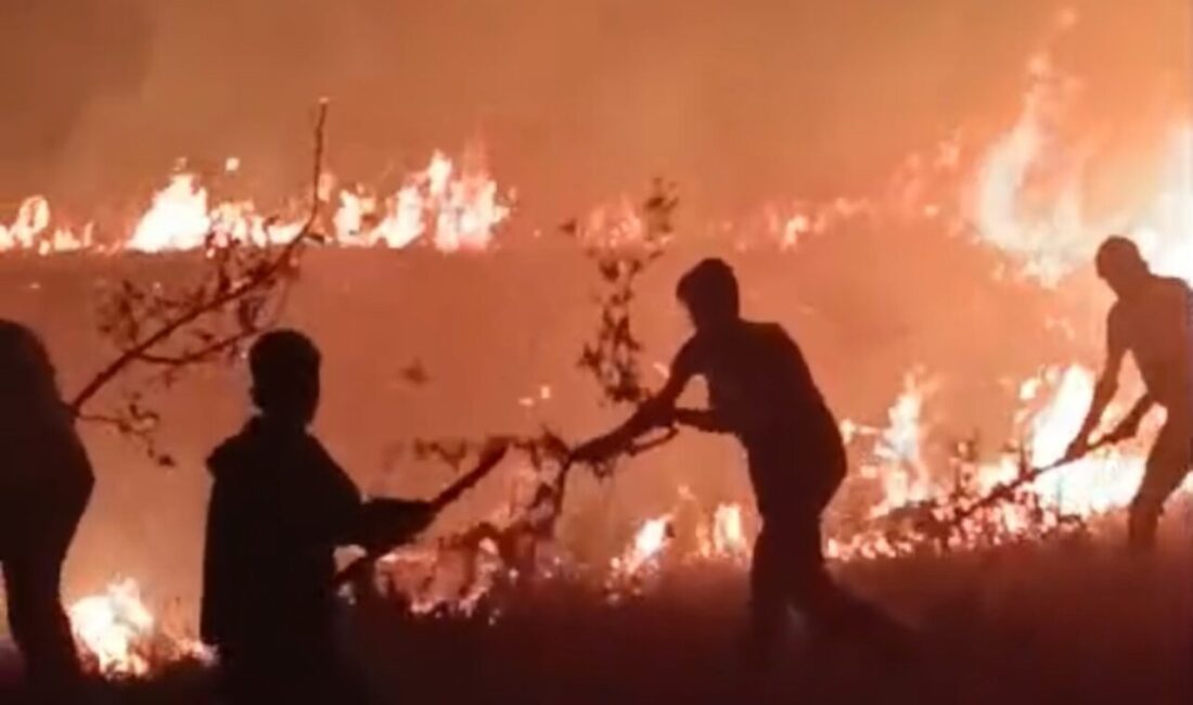 Hakkari ile Van ili sınırında bulunan boybeyi köyünün arazisinde çıkan