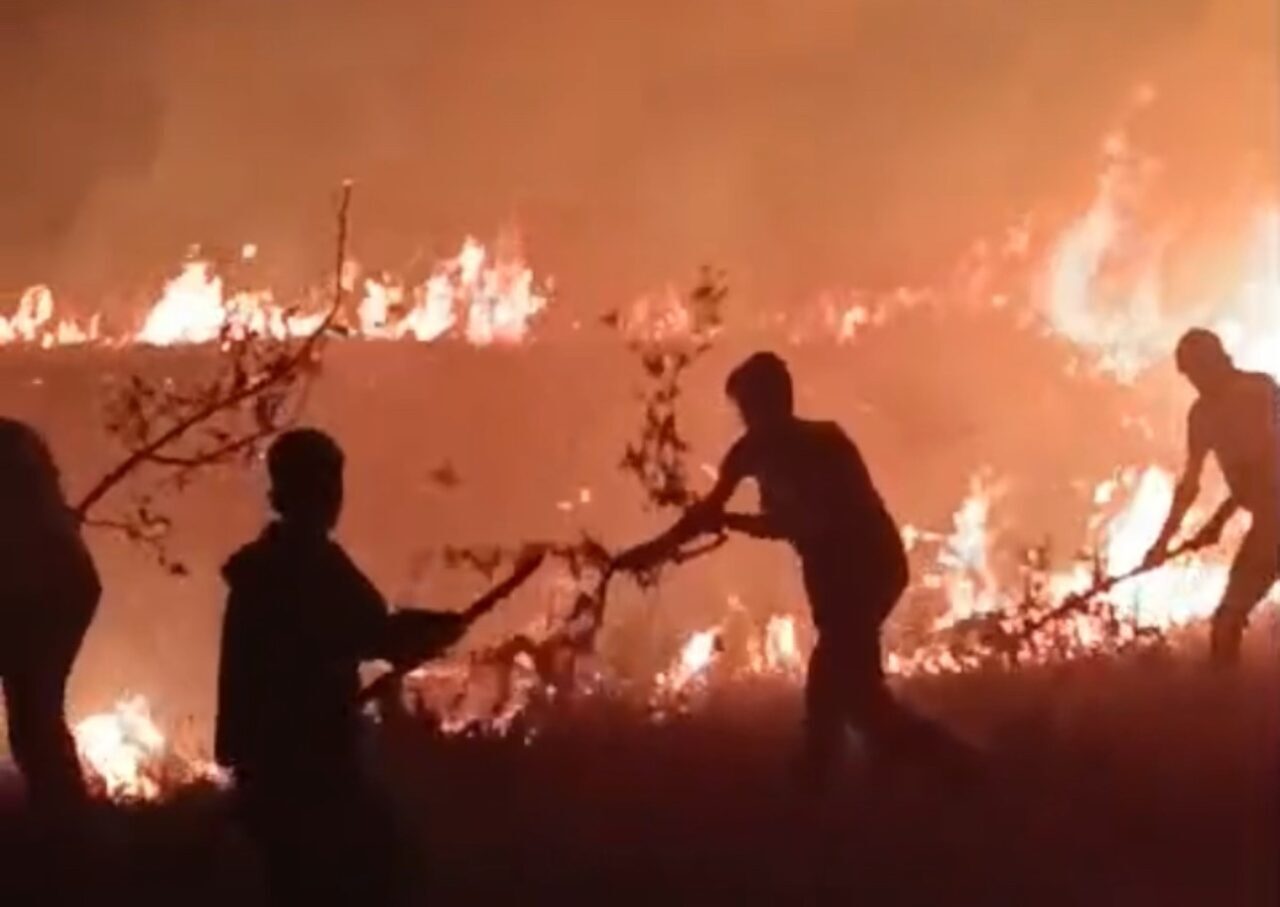 Hakkari ile Van ili sınırında bulunan boybeyi köyünün arazisinde çıkan