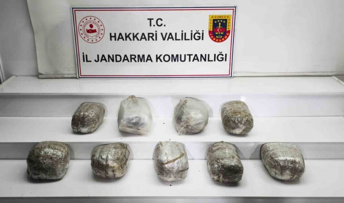 Hakkari İl Jandarma Komutanlığı ekiplerince yürütülen operasyonda 14 kilogram skunk