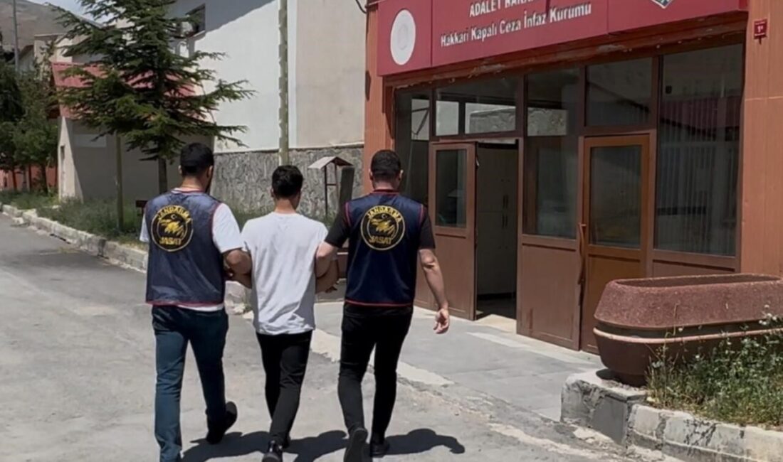 Hakkari’de 78 ayrı suç dosyası bulunan şahıs, jandarma ekipleri tarafından