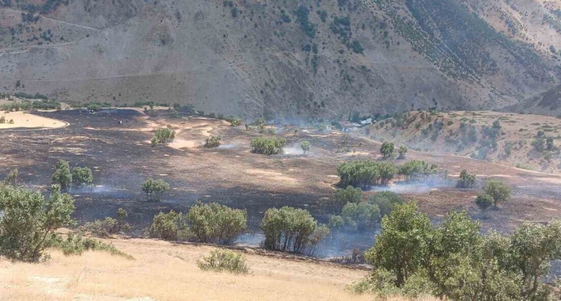 HAKKARİ (İHA) – Hakkari’nin Çanaklı köyünde çıkan anız yangını, ekiplerin