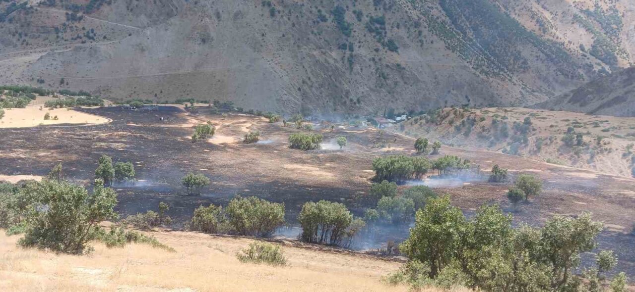 HAKKARİ (İHA) – Hakkari’nin Çanaklı köyünde çıkan anız yangını, ekiplerin
