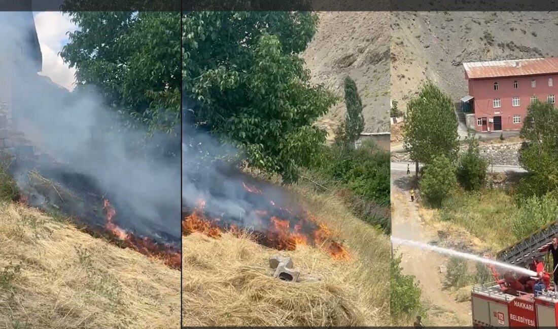Hakkari Belediyesi İtfaiye Müdürlüğü ekipleri, son bir ay içerisinde çıkan
