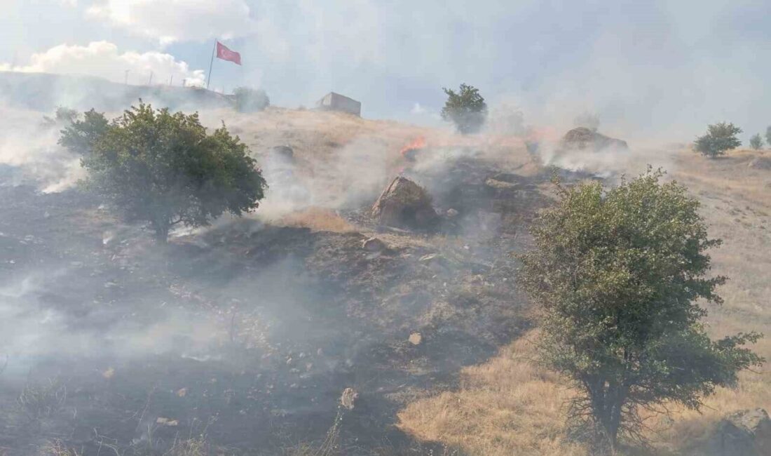 Hakkari’de iki ayrı noktada çıkan anız ve ot yangını, itfaiye