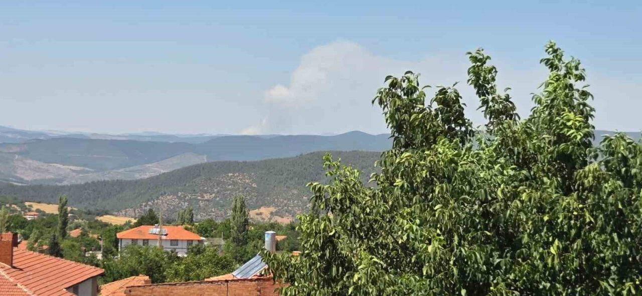 Bursa’nın Harmancık ilçesinde çıkan orman yangını, ikinci gününde de büyük