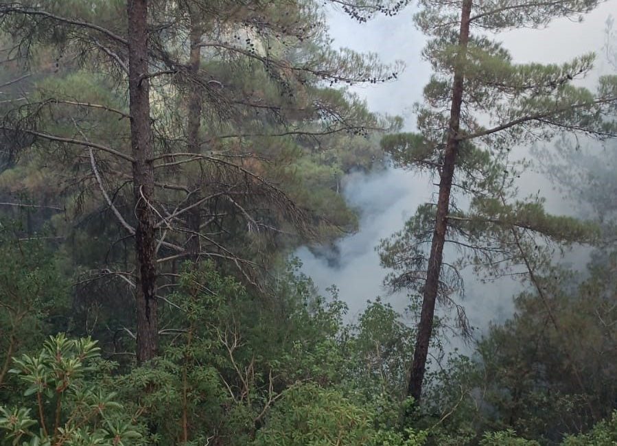 Osmaniye’nin Hasanbeyli ilçesinde çıkan orman yangını ekiplerin ve köylülerin karadan