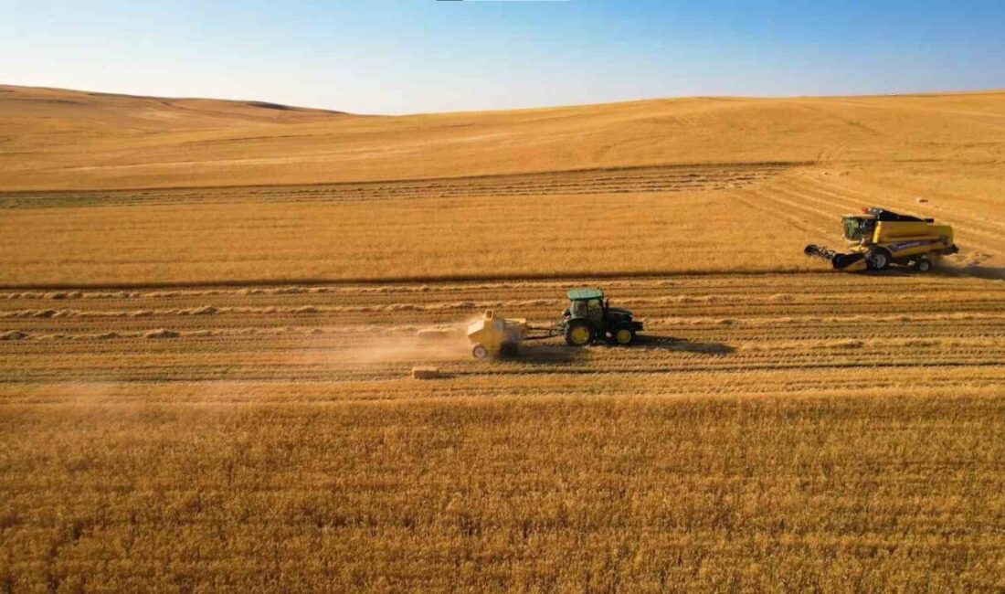 Türkiye’nin önemli tarım bölgelerinden biri olan Ankara’da buğday hasadı devam