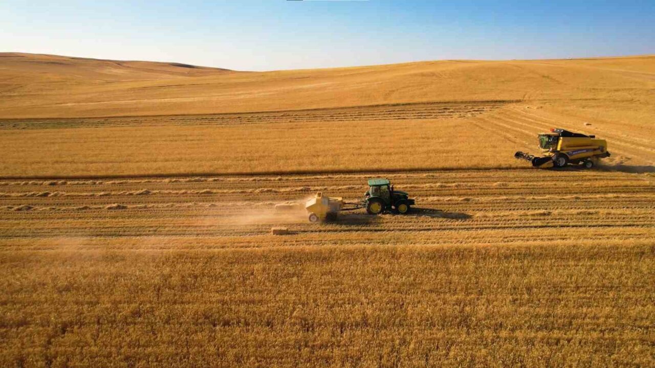 Türkiye’nin önemli tarım bölgelerinden biri olan Ankara’da buğday hasadı devam