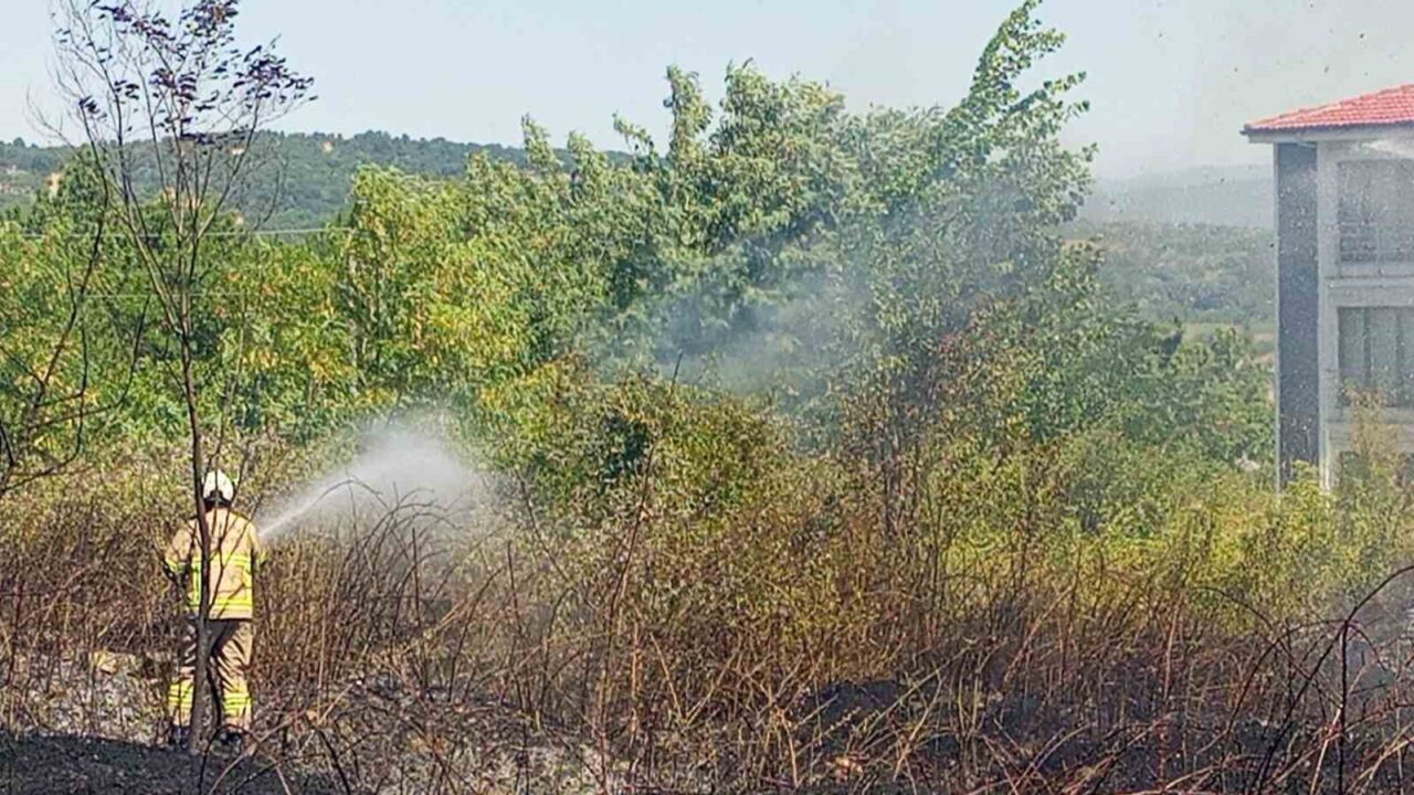 Zonguldak’ın Çaycuma ilçesinde devlet hastanesinin alt kısmındaki otluk alanda çıkan