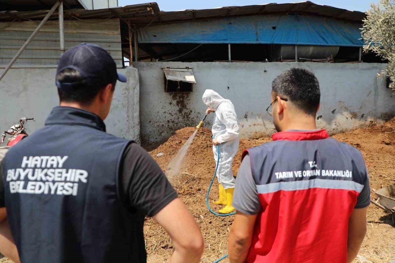 Hatay Büyükşehir Belediyesi (HBB), üreticilerin desteklenmesi ve tarımsal verimliliğin artırılması