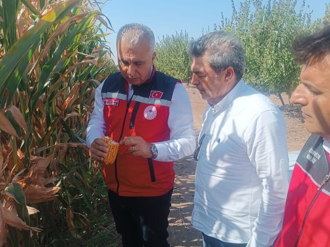Hatay’da Tarım ve Orman İl Müdürü Abdurrahman Türkmen, hasat öncesinde