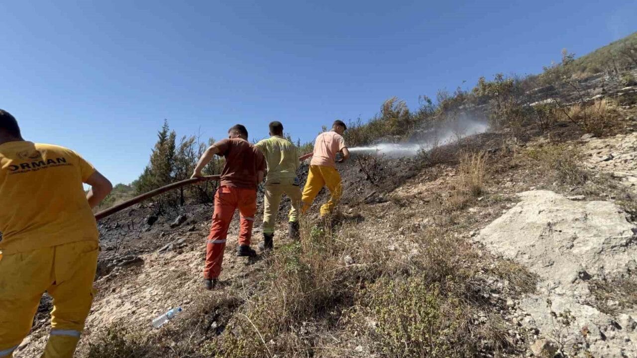 Hatay’ın İskenderun ilçesinde ormanlık alanda çıkan yangın, ekiplerin havadan ve