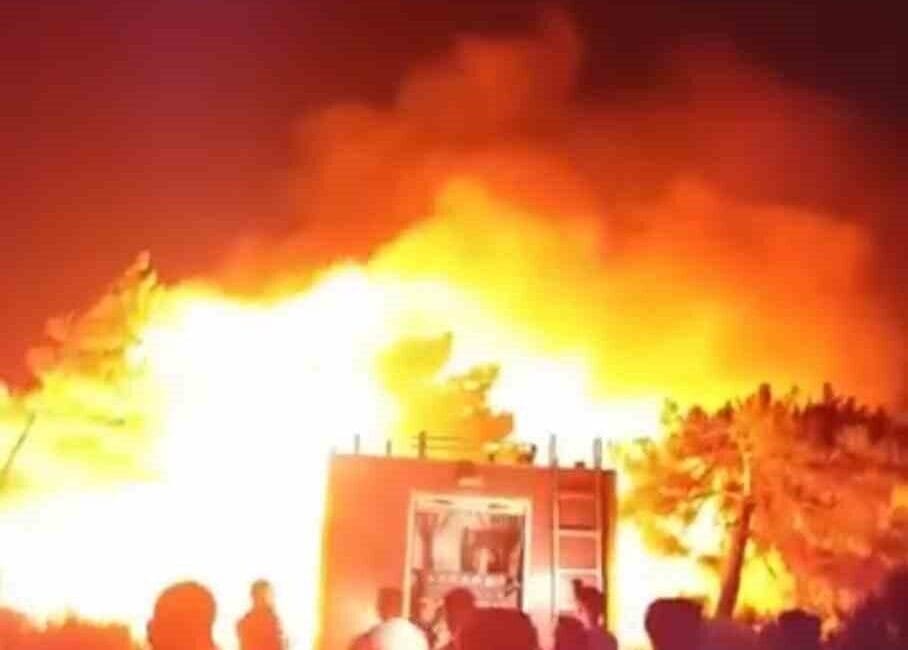 Hatay’ın Samandağ ilçesinde çıkan orman yangınına ekipler müdahaleye başladı. Yangın,