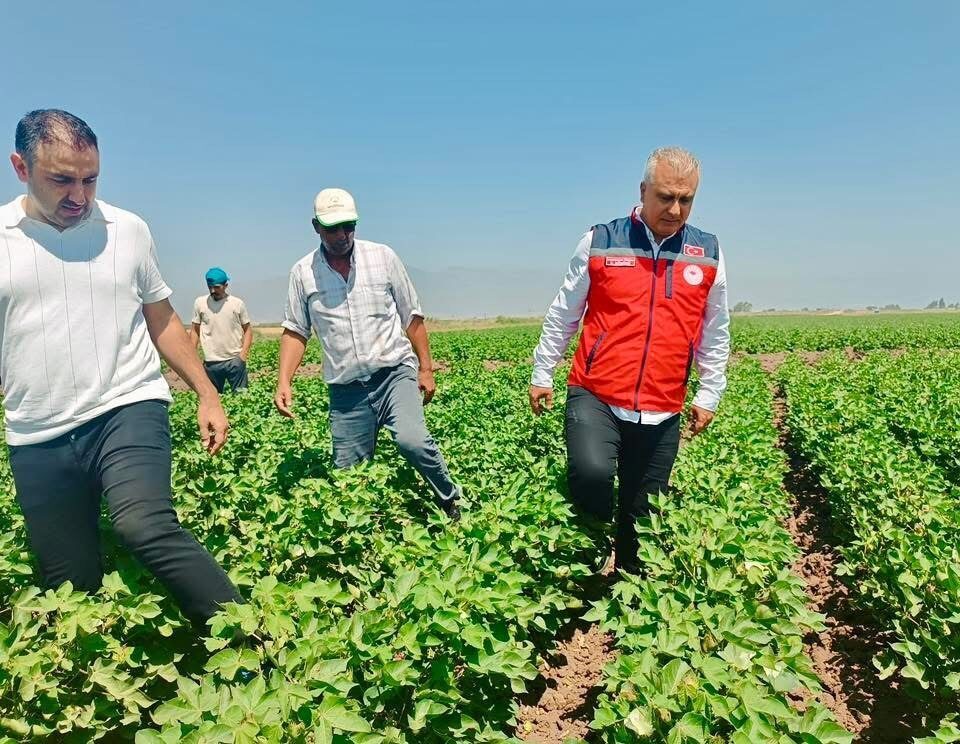Hatay’da Tarım ve Orman İl Müdürü Abdurrahman Türkmen, pamuk tohumlarının