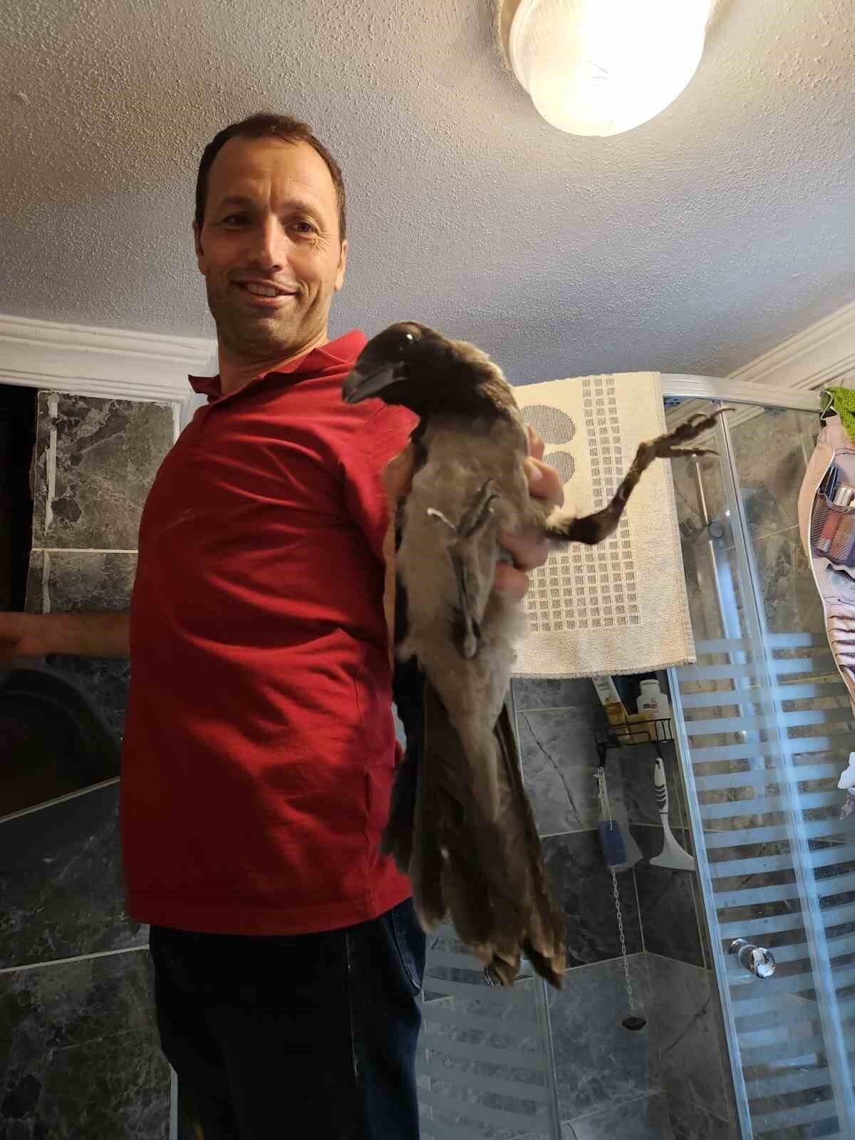 Kastamonu’nun Cide ilçesinde havalandırma boşluğuna düşen karga, vatandaş tarafından kurtarılarak