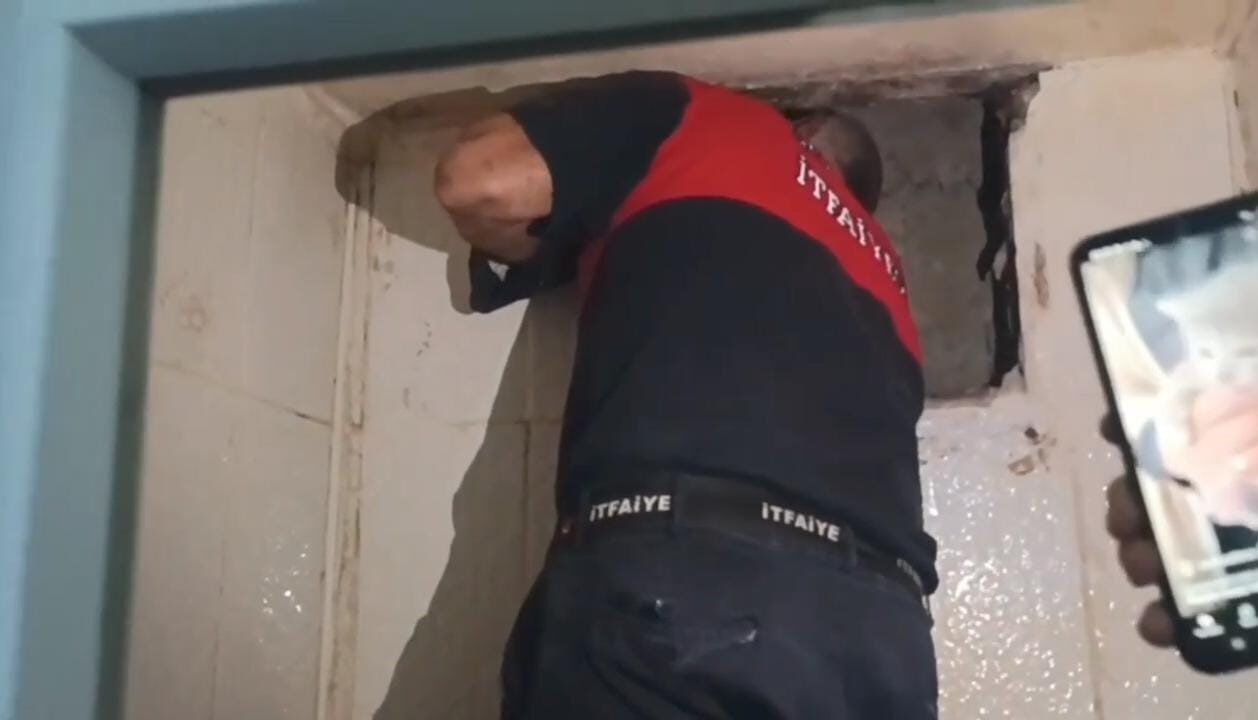 Şanlıurfa’da havalandırma boşluğunda mahsur kalan yavru kedi itfaiye ekipleri tarafından