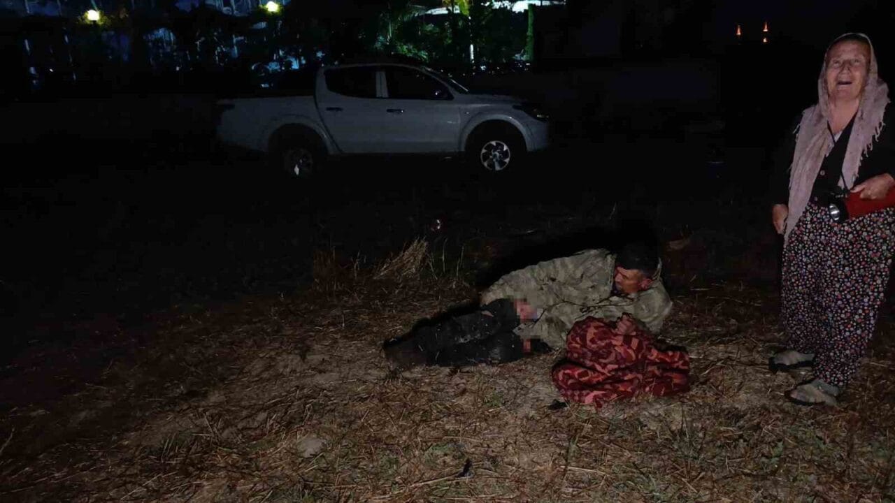 Antalya’nın Manavgat ilçesinde hayvan parkından kaçan Zeus isimli erkek aslan,