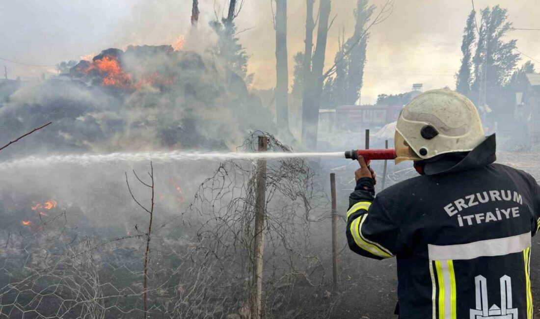 Erzurum’un Hınıs ilçesinde çıkan ot yangını, ekiplerin zamanında müdahalesiyle söndürüldü.
