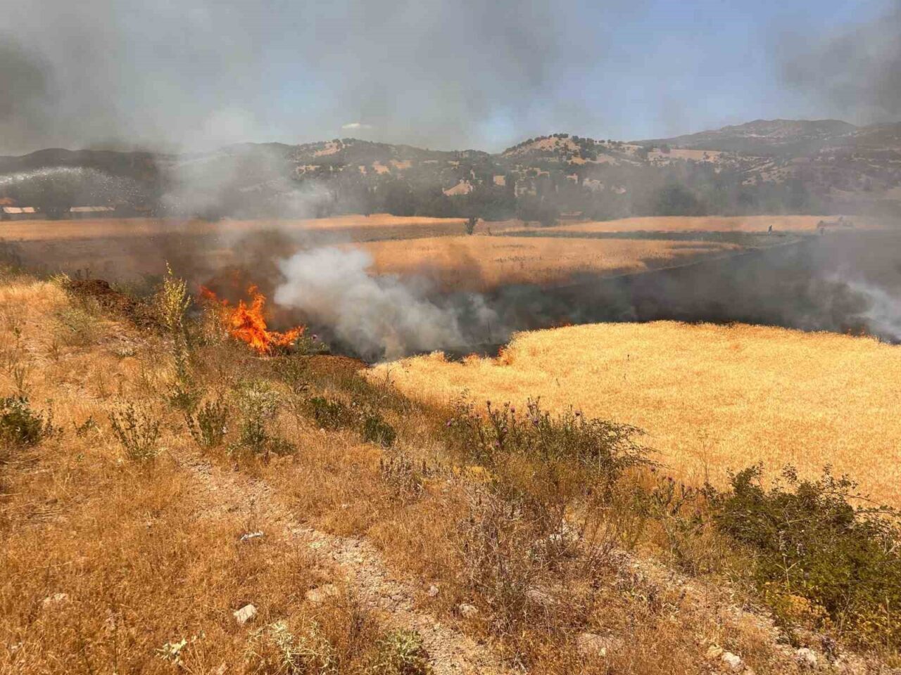 Kütahya’nın Hisarcık ilçesinde biçerdöverden çıkan kıvılcımın hububat ekili alanı tutuşturması