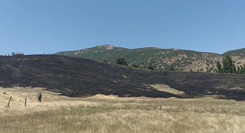 Bitlis’in Hizan ilçesinde çıkan anız yangını paniğe neden olurken, yaklaşık