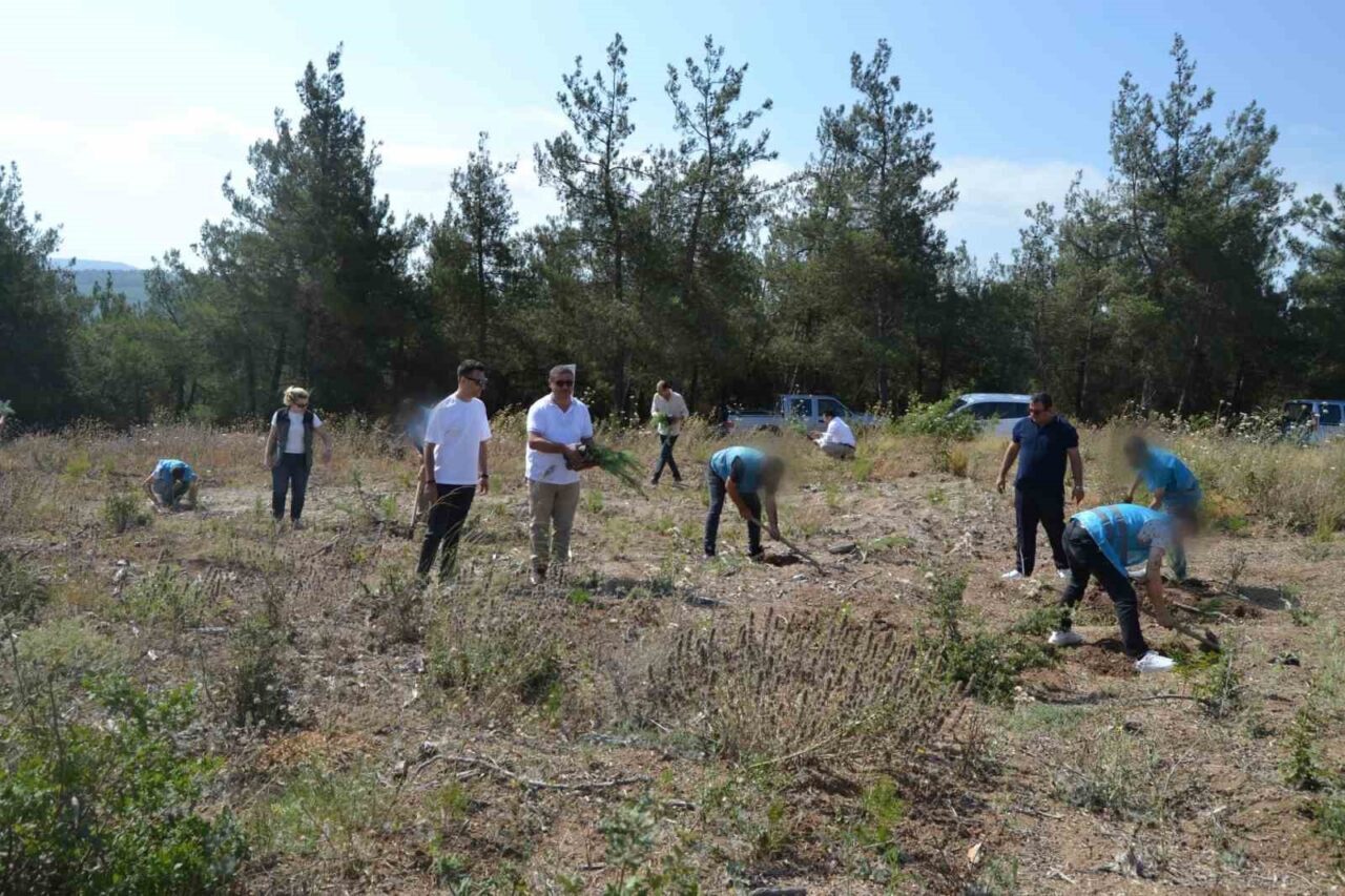 Bursa Denetimli Serbestlik Müdürlüğü ile Bursa Orman İşletme Müdürlüğü işbirliğinde