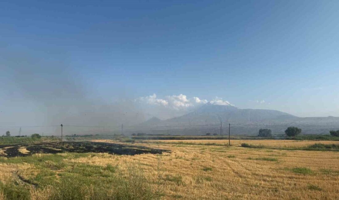 Iğdır’ın Karakoyunlu ilçesine bağlı Taşburun köyü yakınlarında, hasadı tamamlanmış bir