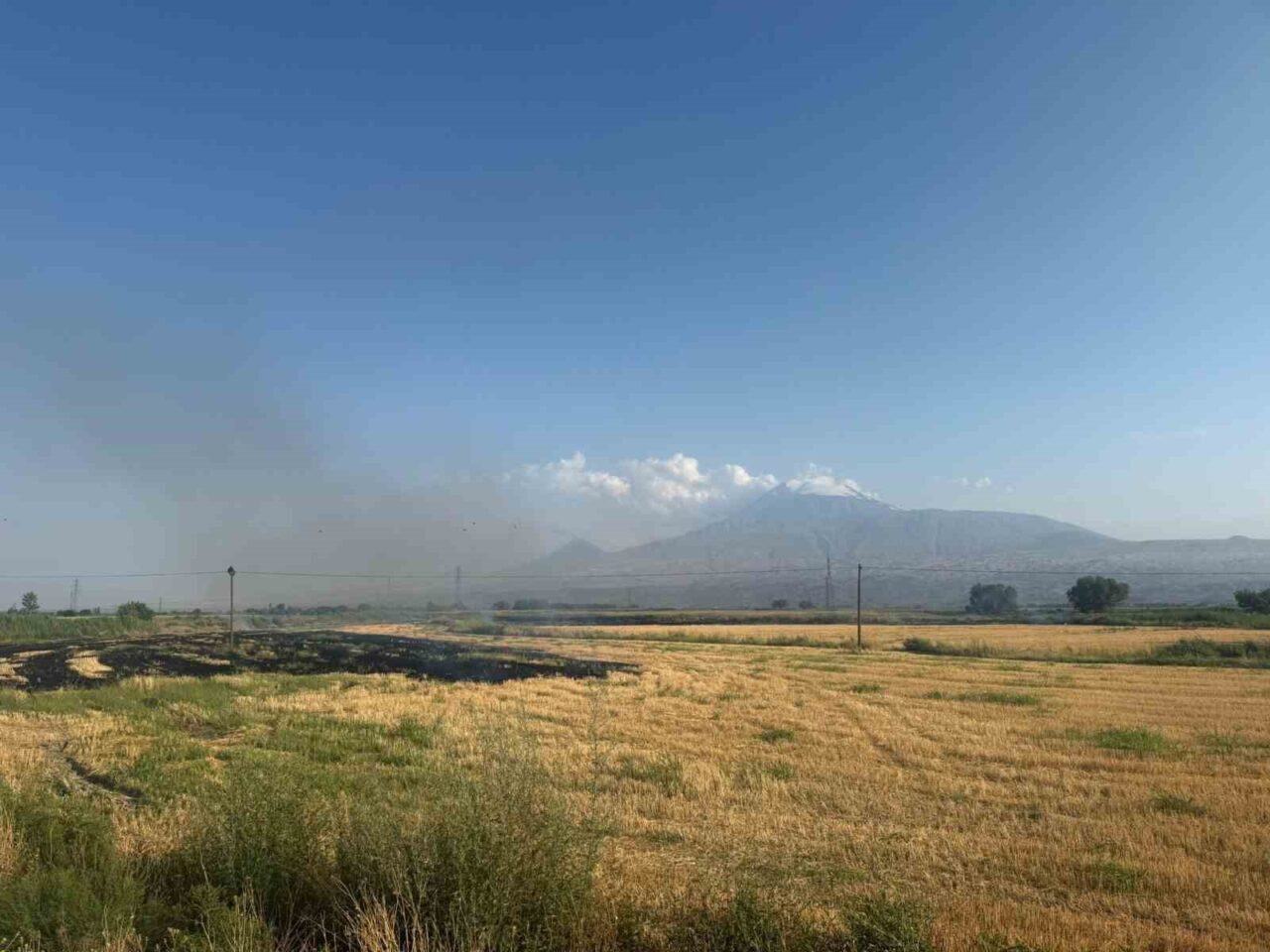 Iğdır’ın Karakoyunlu ilçesine bağlı Taşburun köyü yakınlarında, hasadı tamamlanmış bir