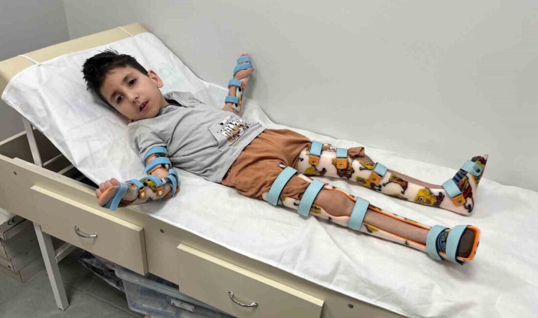 Eskişehir’de sivrisinek ısırması sonrası bulaşan virüs nedeniyle 6 buçuk yıldır