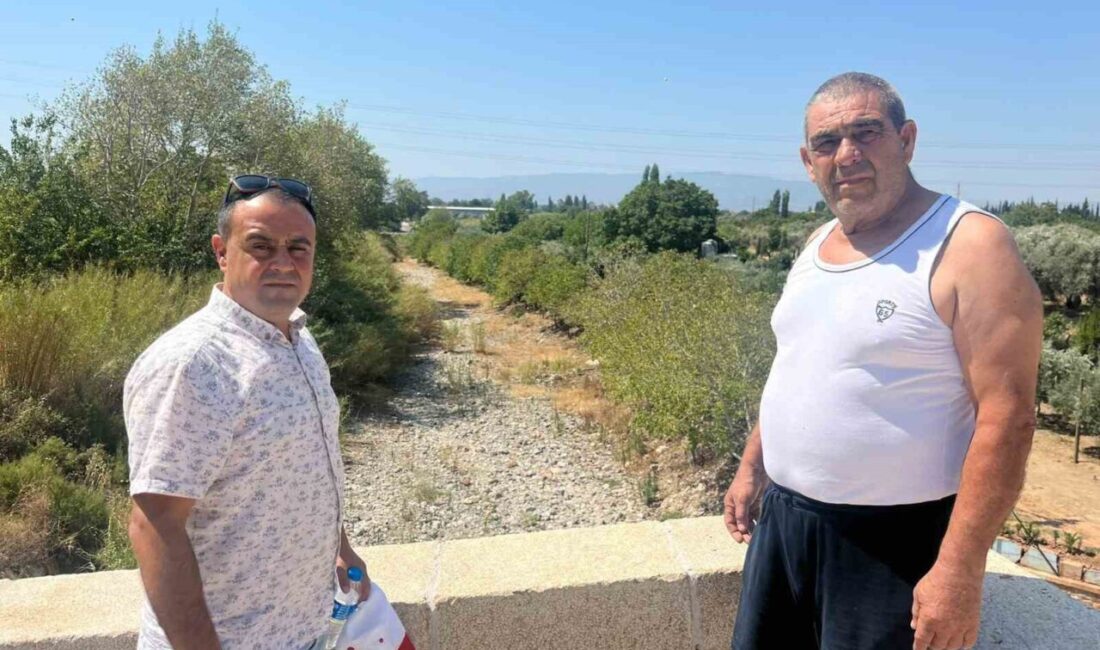 Aydın’ın İncirliova ilçesine bağlı Dereağzı Mahallesi, her yıl Temmuz ayında