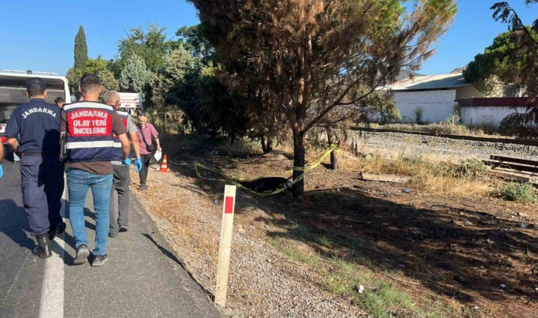 Aydın’ın İncirliova ilçesinde meydana gelen trafik kazasında bir kişi hayatını