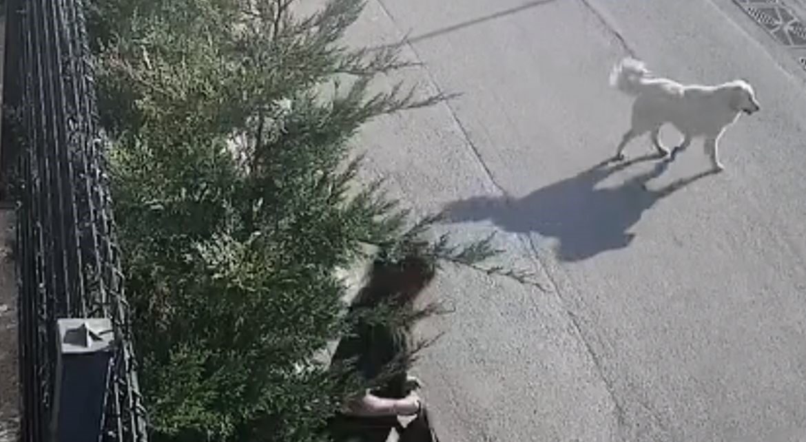 Bursa’da sabah işe gitmek üzere yola çıkan genç kadın, sokak