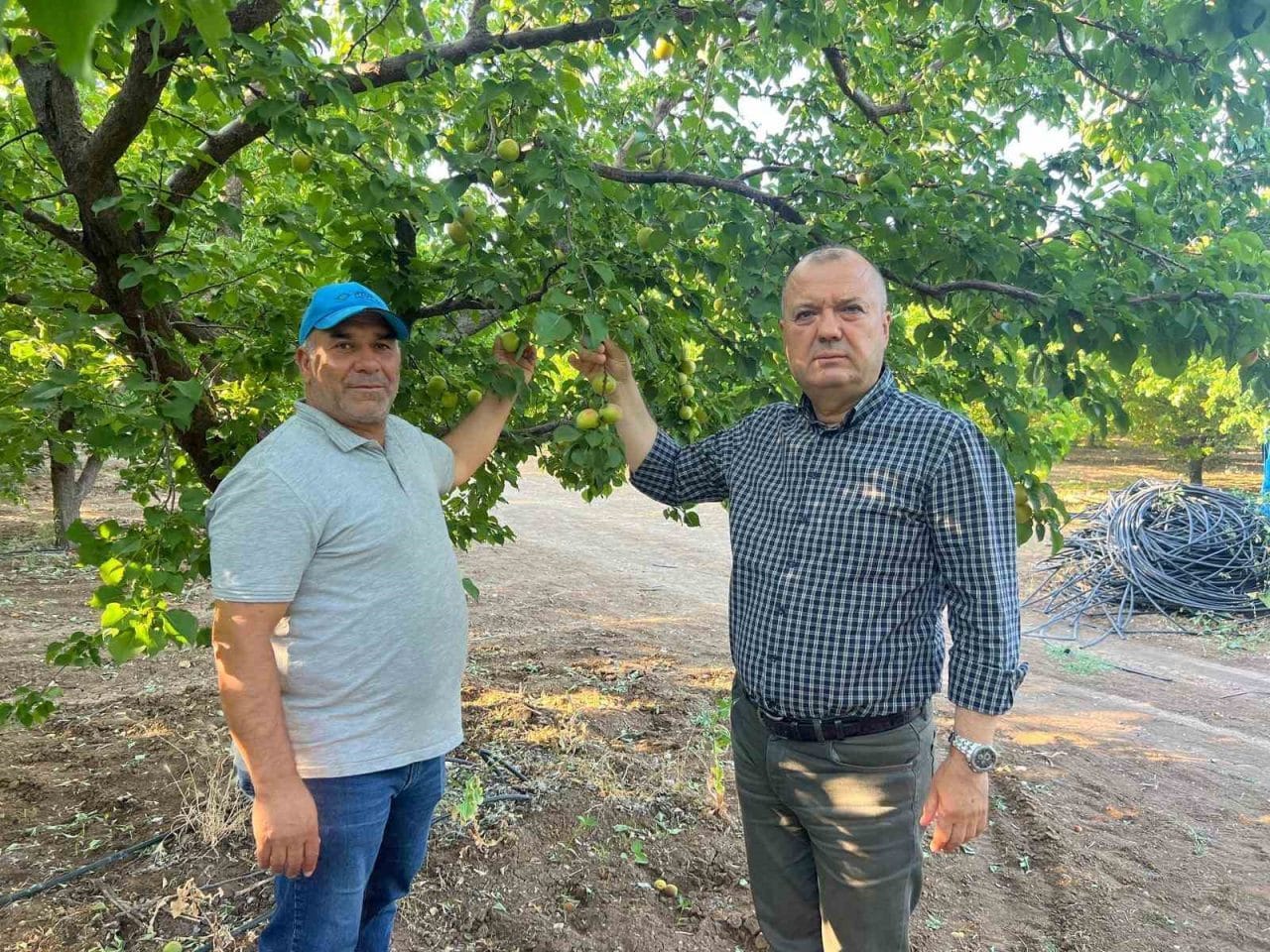 Isparta’nın Yalvaç ilçesinde bir çiftçinin, 11-12 Nisan’da yaşanan don hadisesinde