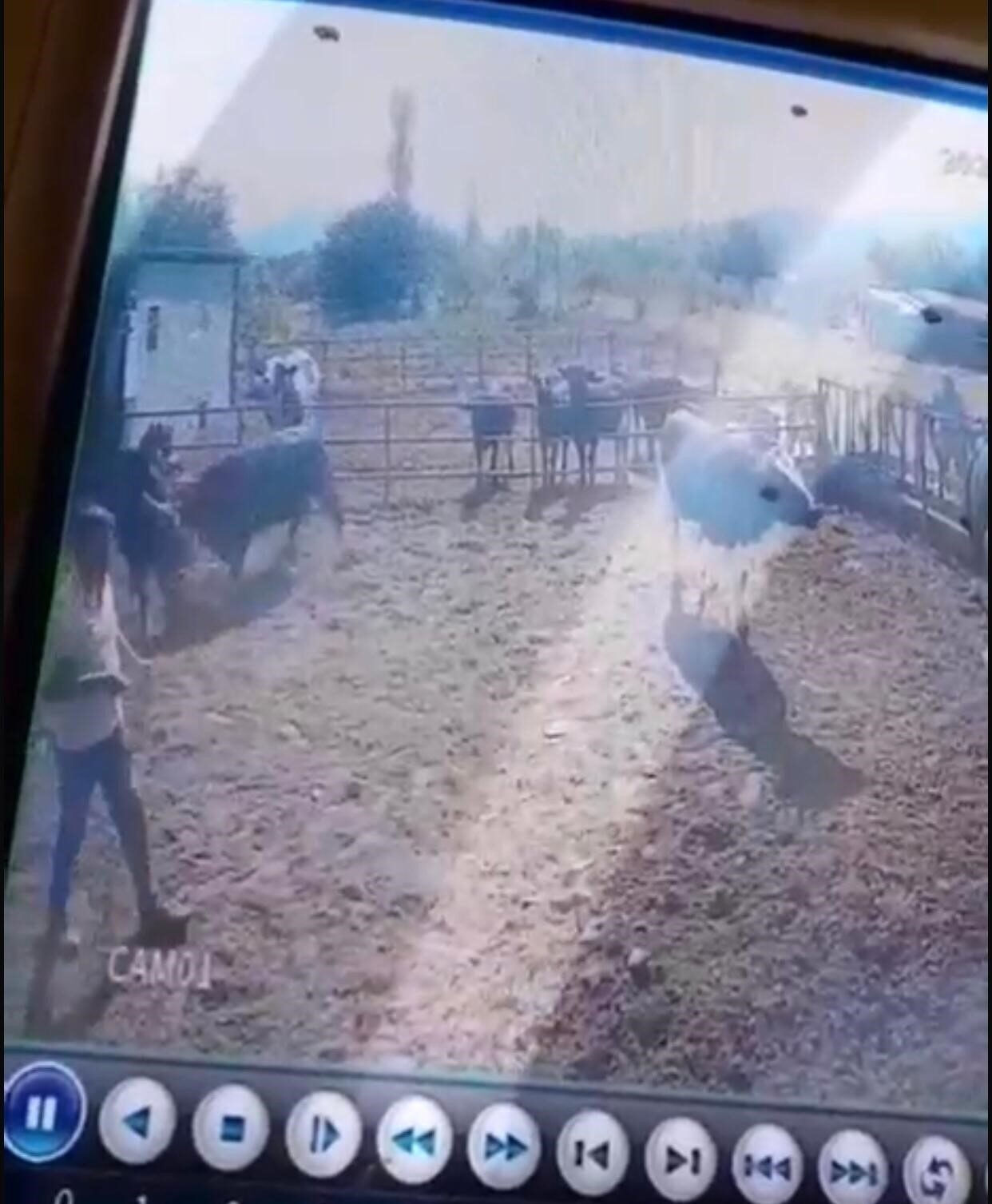 Isparta’nın Eğirdir ilçesinde bir besihanede bakım yaptığı boğanın saldırısına uğrayan