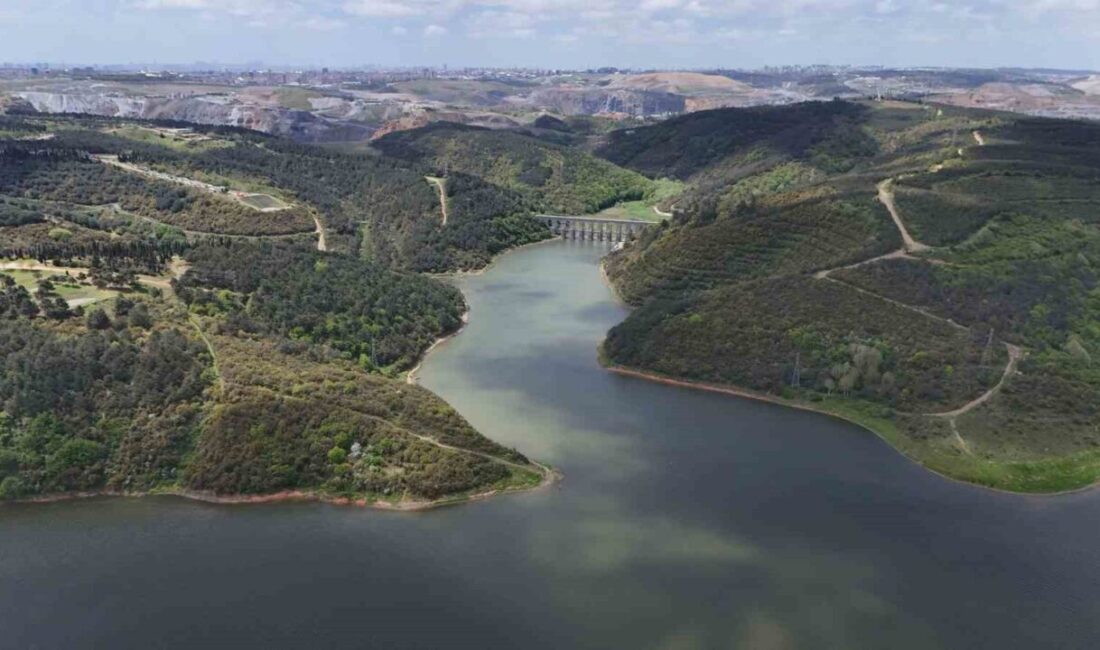 İstanbul’da etkisini gösteren sıcak hava dalgası yaşamı olumsuz etkilerken, durum