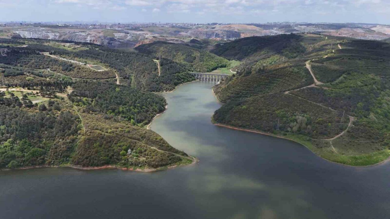 İstanbul’da etkisini gösteren sıcak hava dalgası yaşamı olumsuz etkilerken, durum