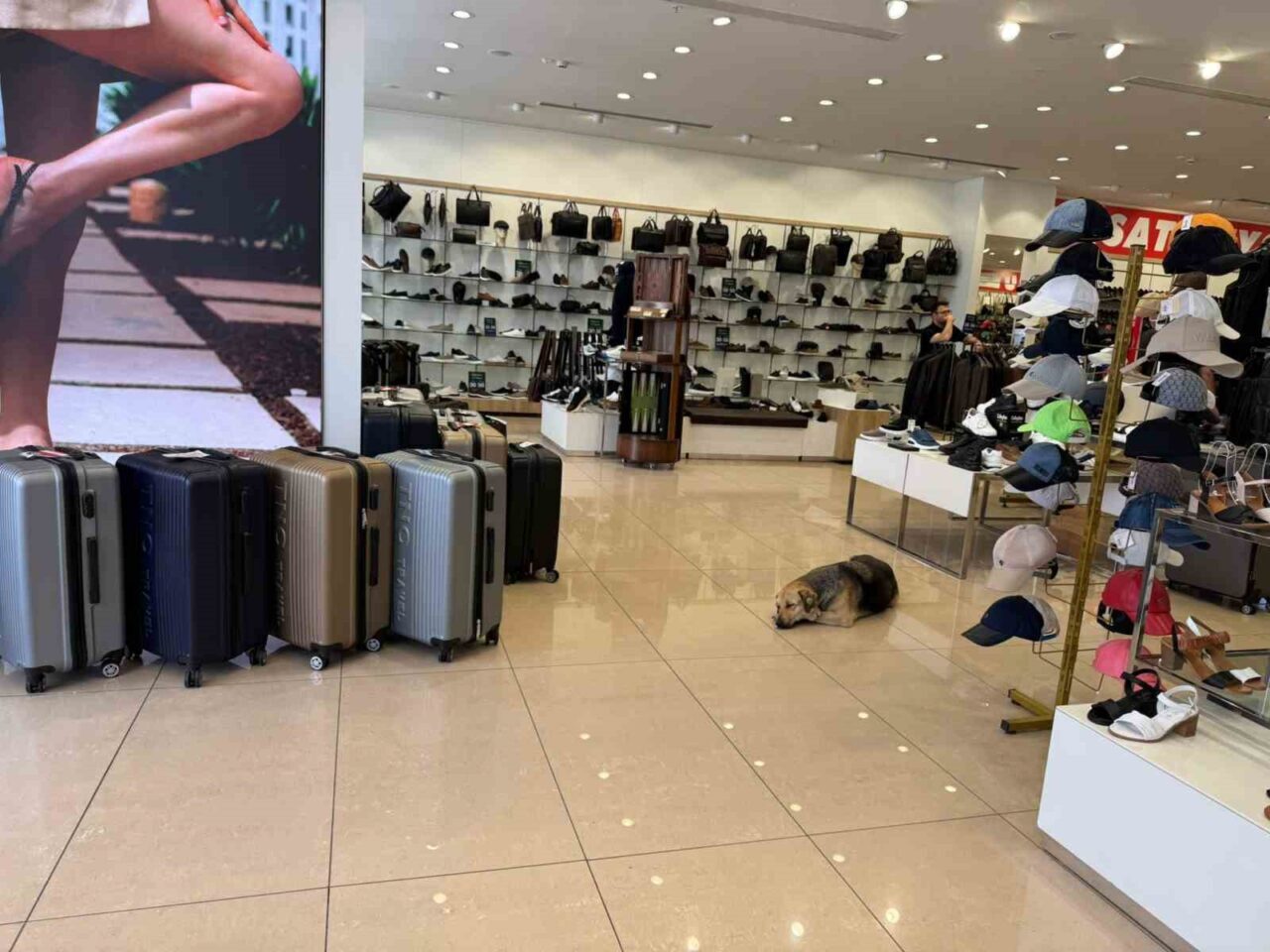 Afrika sıcaklıklarının etkisi altındaki İstanbul’da hissedilen sıcaklık 47 dereceye kadar