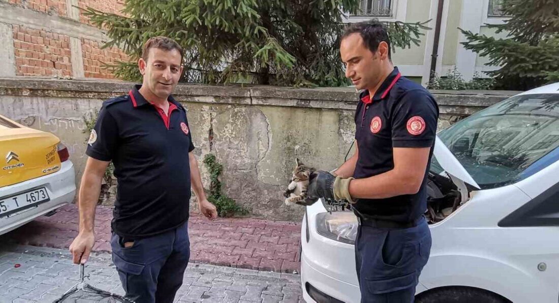 Samsun’un Bafra ilçesinde bir aracın altına sıkışan yavru kedi itfaiye