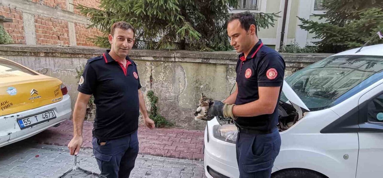 Samsun’un Bafra ilçesinde bir aracın altına sıkışan yavru kedi itfaiye