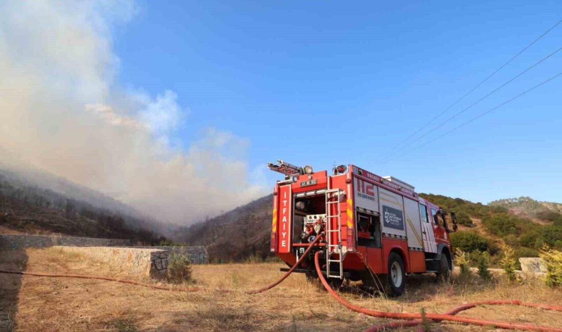 Kocaeli’de yaz aylarının gelmesiyle birlikte artan orman yangınları konusunda vatandaşlar
