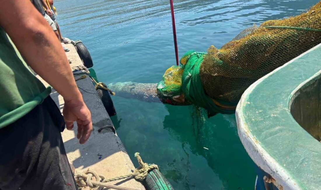 İzmir’in Karaburun ilçesi açıklarında bir balıkçı teknesinin ağlarına denizaltı torpidosu