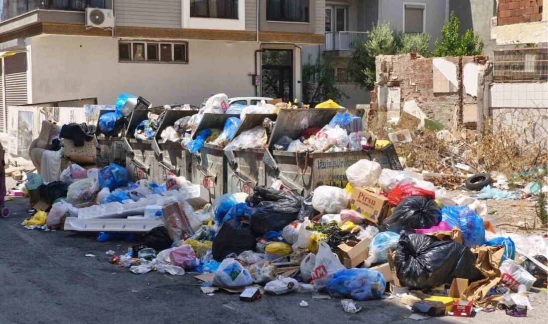 İzmir’de geçen ay grev sebebiyle toplanmayan çöplerden yaşanan koku ve