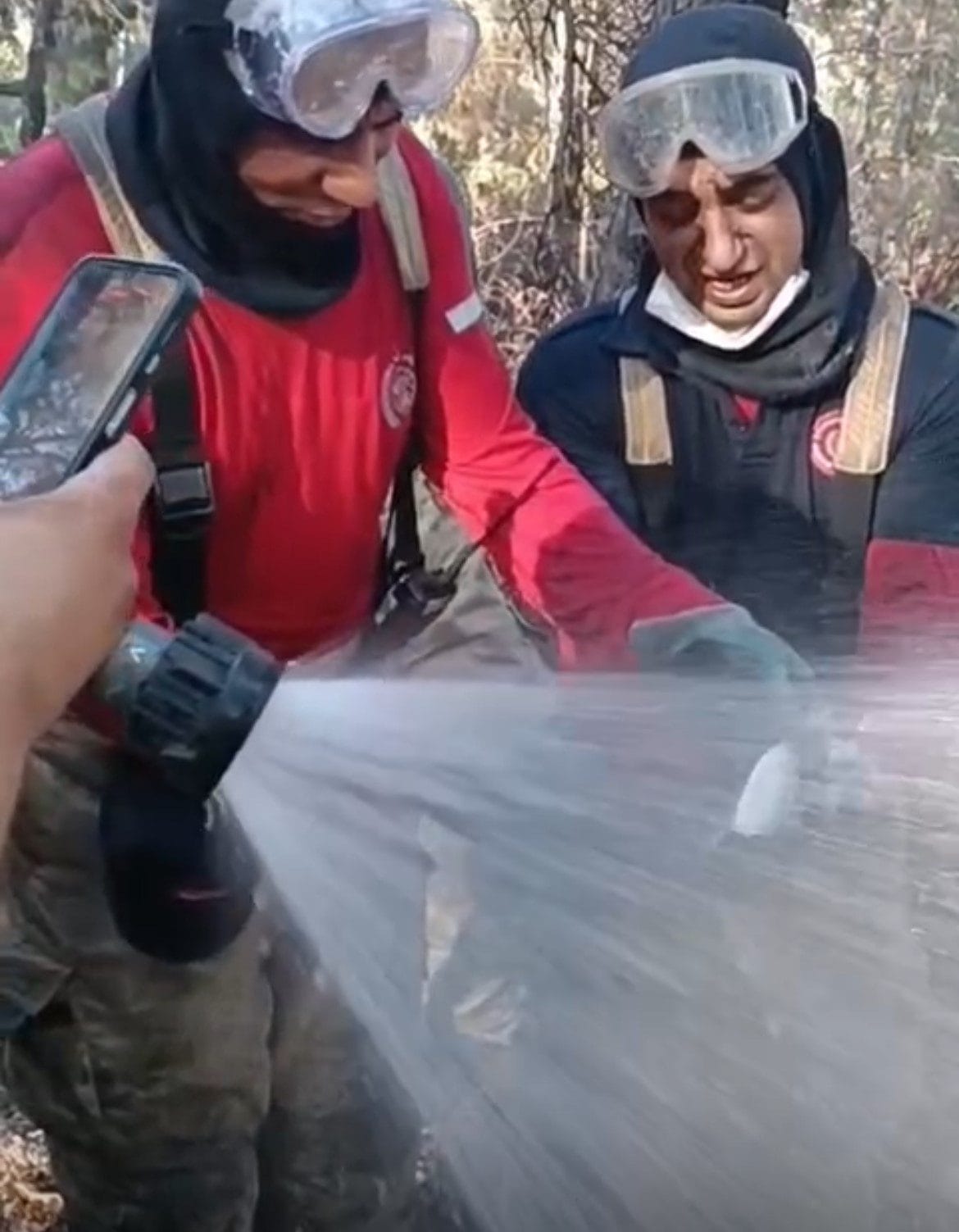 İzmir’in Buca ilçesinde meydana gelen orman yangınında canlı bulunan bir