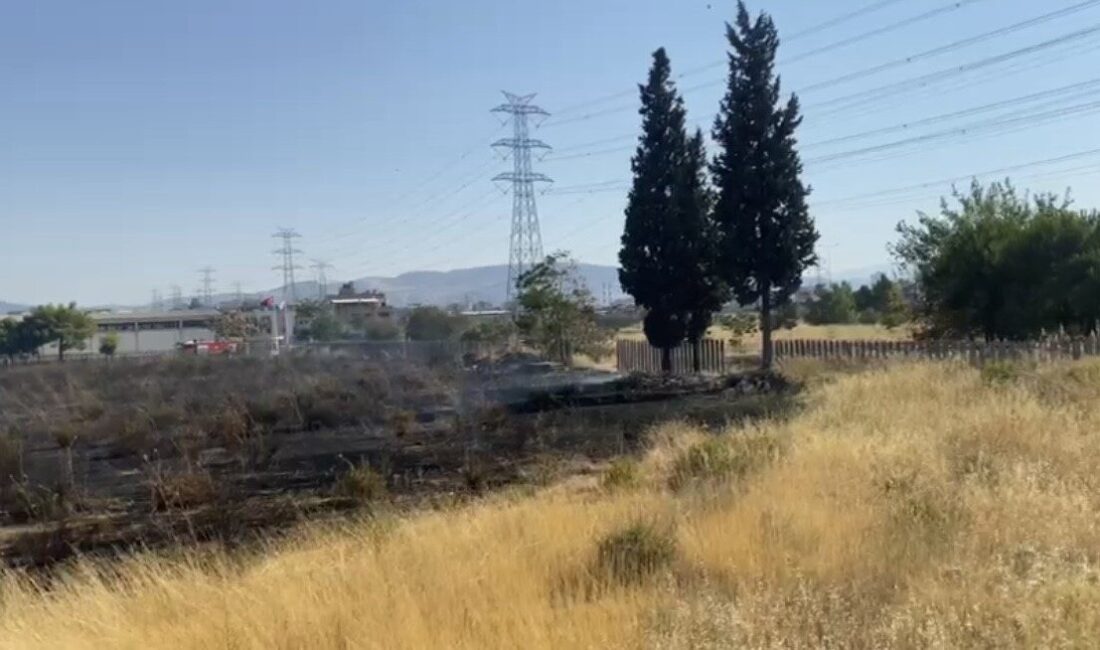 İzmir’in Bornova ilçesinde otluk alanda çıkan yangın, yakındaki alışveriş merkezinin