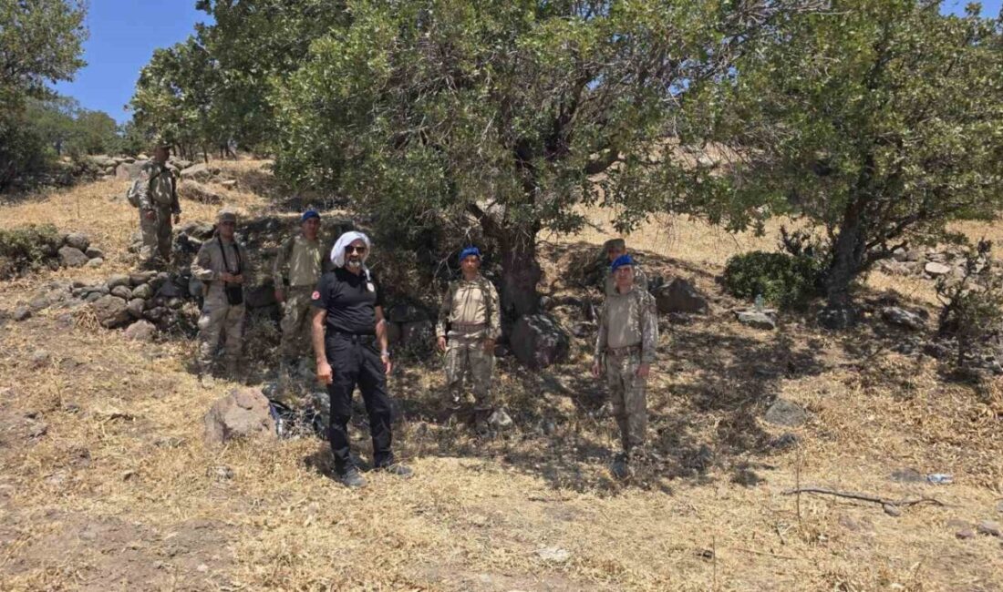 İzmir’in Dikili ilçesinde yürüyüşe çıktıktan sonra kaybolan yaşlı adamı bulmak