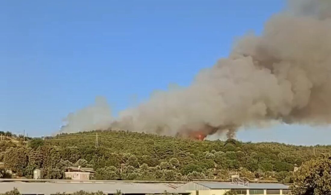 İzmir’in Urla ilçesinde ormanlık alanda yangın çıktı. Yangın, saat 18.32