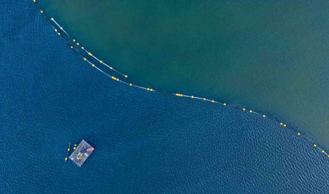 İzmit Körfezi’ndeki canlılığı daha da artıracak dev çevre projesinde bugüne