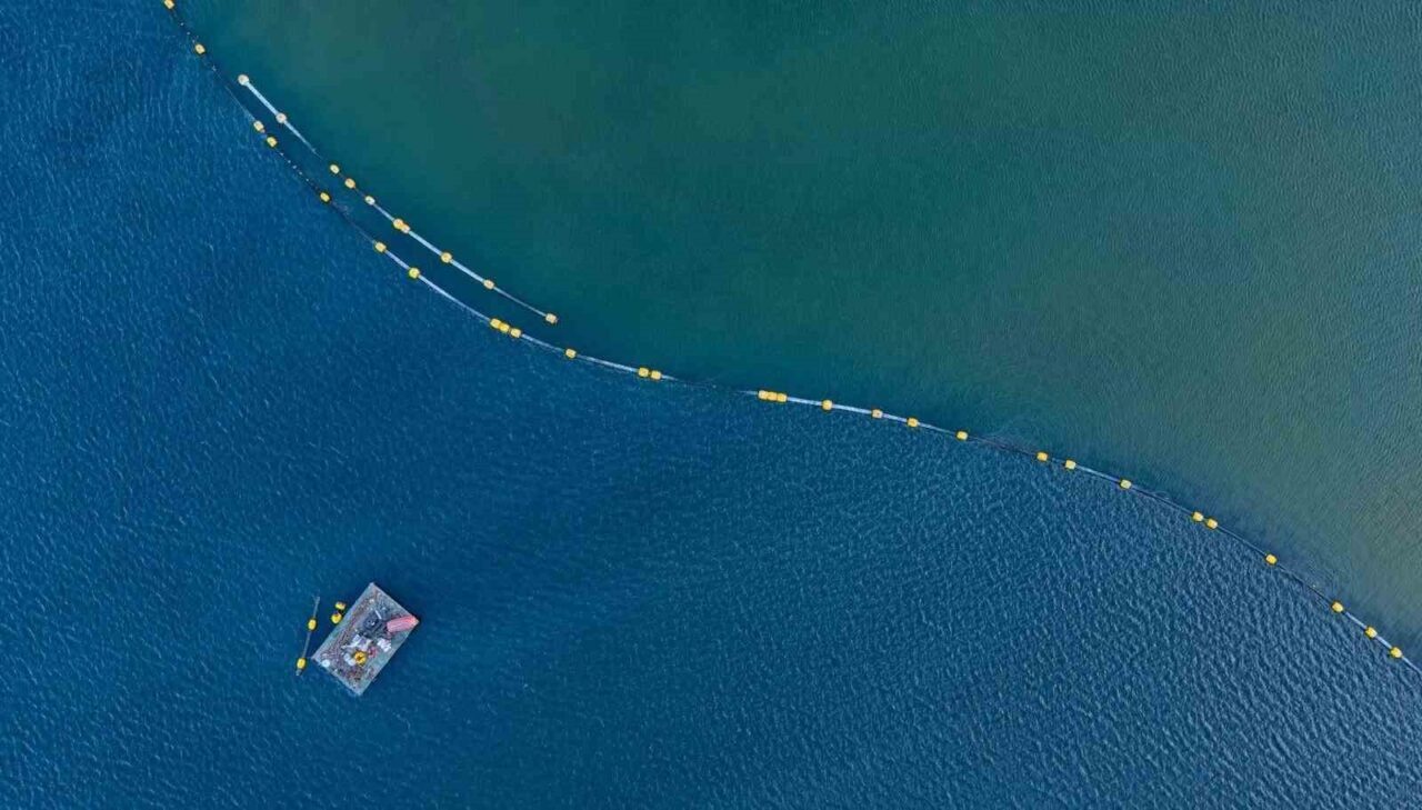 İzmit Körfezi’ndeki canlılığı daha da artıracak dev çevre projesinde bugüne