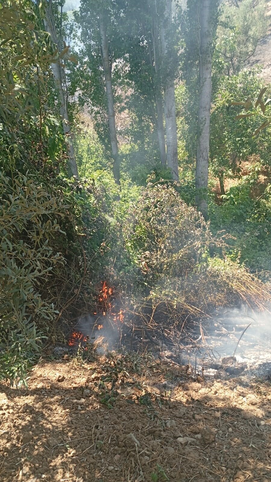 Bursa’nın İznik ilçesinde ormanlık alanda çıkan yangın, itfaiye ekiplerinin hızlı